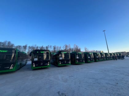 Комфортные автобусы заменили маршрутные такси