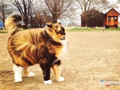 10 декабря: зачем в этот нужно стоять лицом к северу и ждать ветер?