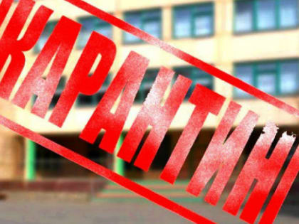 На Южном Урале из-за эпидемии гриппа на карантин ушли 23 класса