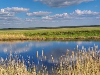 Незваный гость