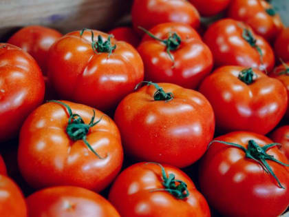 В Челябинской области сливы и томаты поступят в продажу после обеззараживания