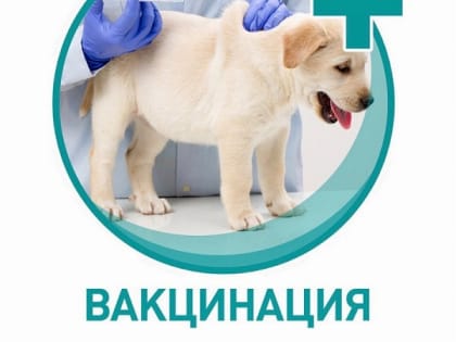 Осторожно бешенство!