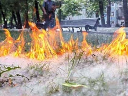 Чем жила Челябинская область: главные новости недели с 13 по 19 июня 2022 года
