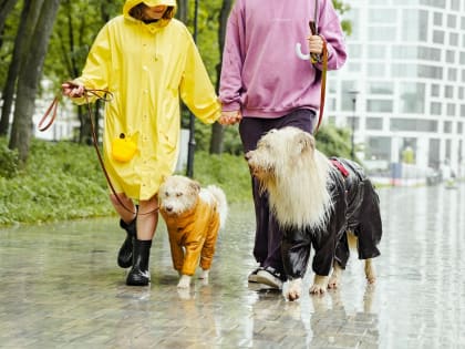 Похолодание и дождь. Делимся прогнозом погоды на 4 июня в Магнитогорске