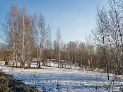 Тепло и солнечно. Делимся прогнозом погоды на 1 марта