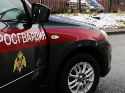 Челябинка во время застолья ударила сожителя ножом в грудь