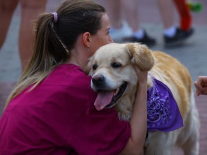 Южноуральцам рассказали, на что стоит обратить внимание при выборе когтерезок для домашних питомцев