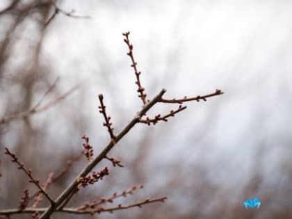 Прогноз погоды на конец недели