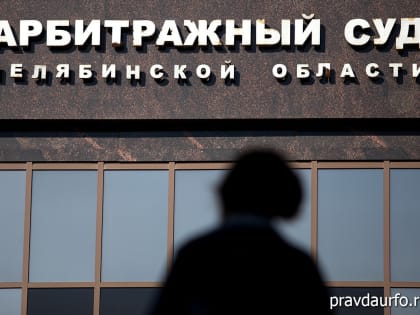 Семья вице-спикера челябинского Заксобрания отбивается от кредиторов и СКР, а Карликанов только увеличивает имущество