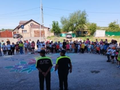 Профилактическая акция «Внимание - дети»