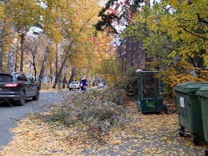 Ветки перекрыли тротуар