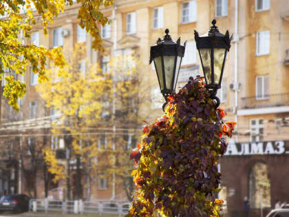 Котова поручила убрать с общественных территорий Челябинска осеннюю листву