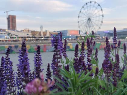 Синоптики рассказали, в какой части Челябинской области похолодает до дневных +13 градусов