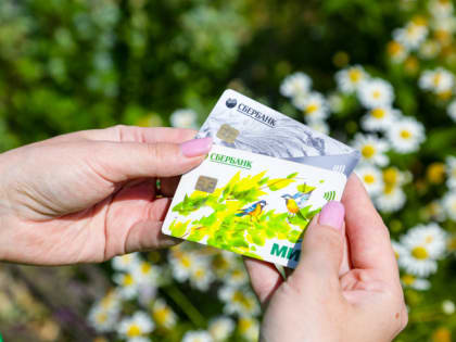 В Челябинской области внедрят новый электронный сервис для льготников