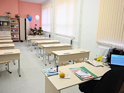 В Челябинской области на карантин по гриппу закрыты две школы и 140 классов
