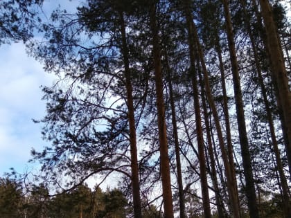 Анонсы событий и мероприятий на 13 декабря