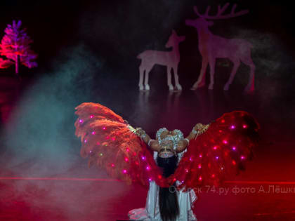 Спели караоке под новогодний шансон