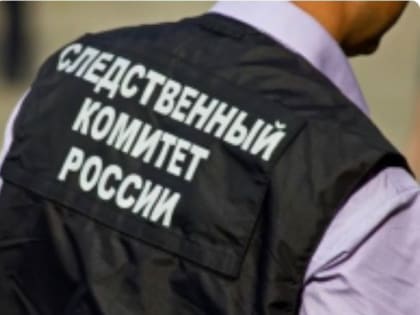 Детсад Челябинска, где у сотрудницы выявлено венерическое заболевание, проверит СК