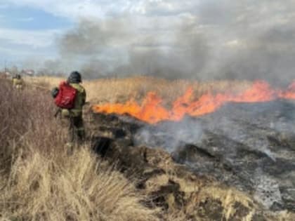 С 12 апреля на всей территории Челябинской области установлен особый противопожарный режим