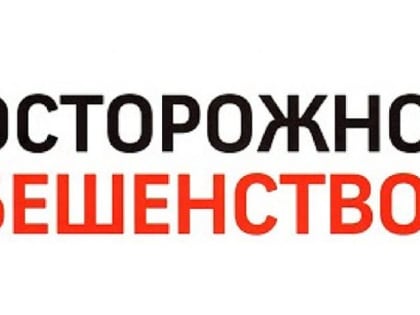 Смерть кошки в Сарах: случай бешенства подтверждён лабораторно