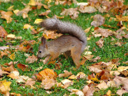 Антициклон установит ясную и теплую погоду в Челябинской области до выходных