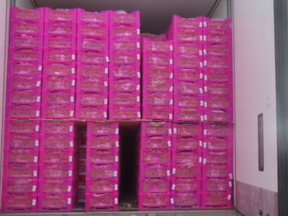 Челябинские таможенники не пустили в Россию партию сомнительного винограда