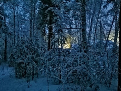 Снежное мартовское утро