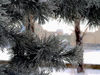 Новогодняя ночь в Челябинской области будет морозной