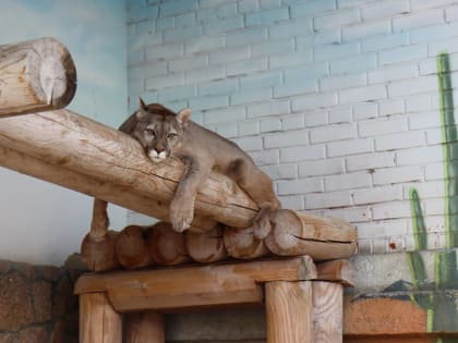 Анонсы событий и мероприятий на выходные (18+)