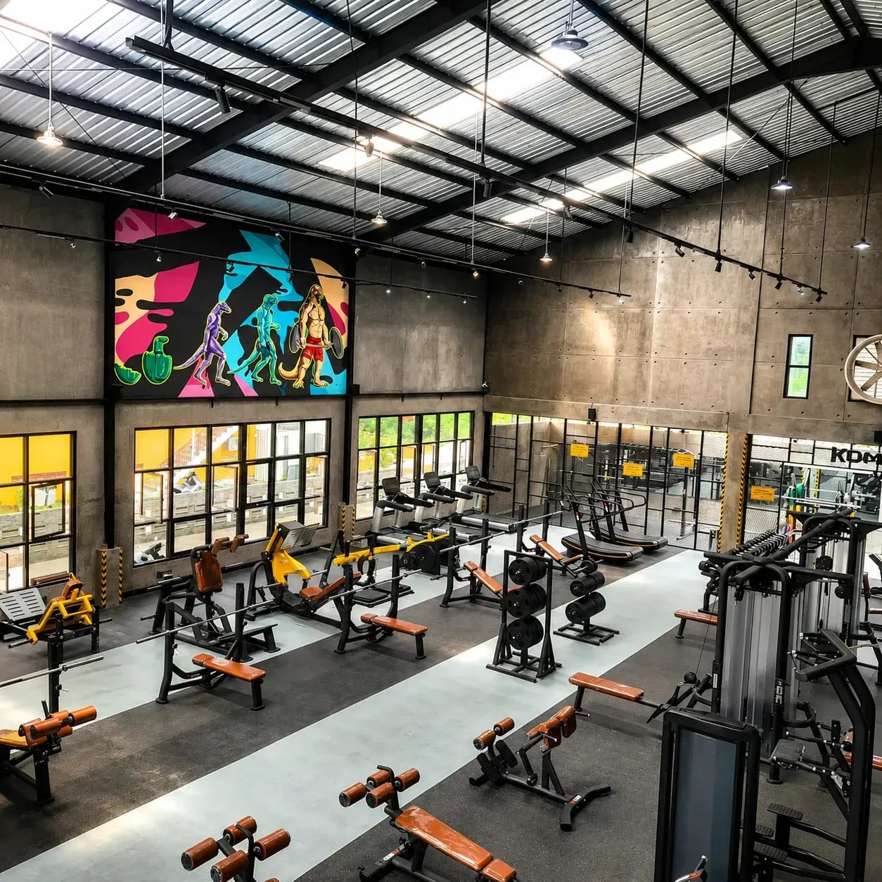 Komodo Gym Video