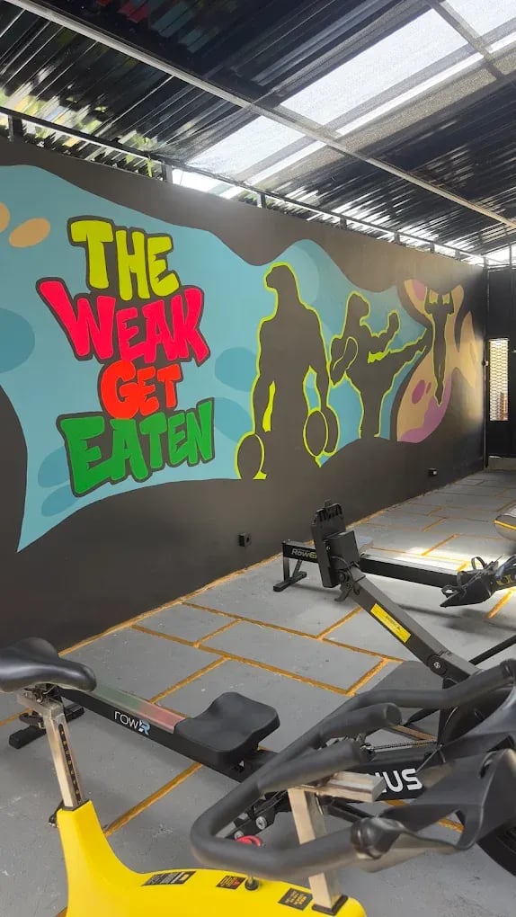 Komodo Gym gallery 6