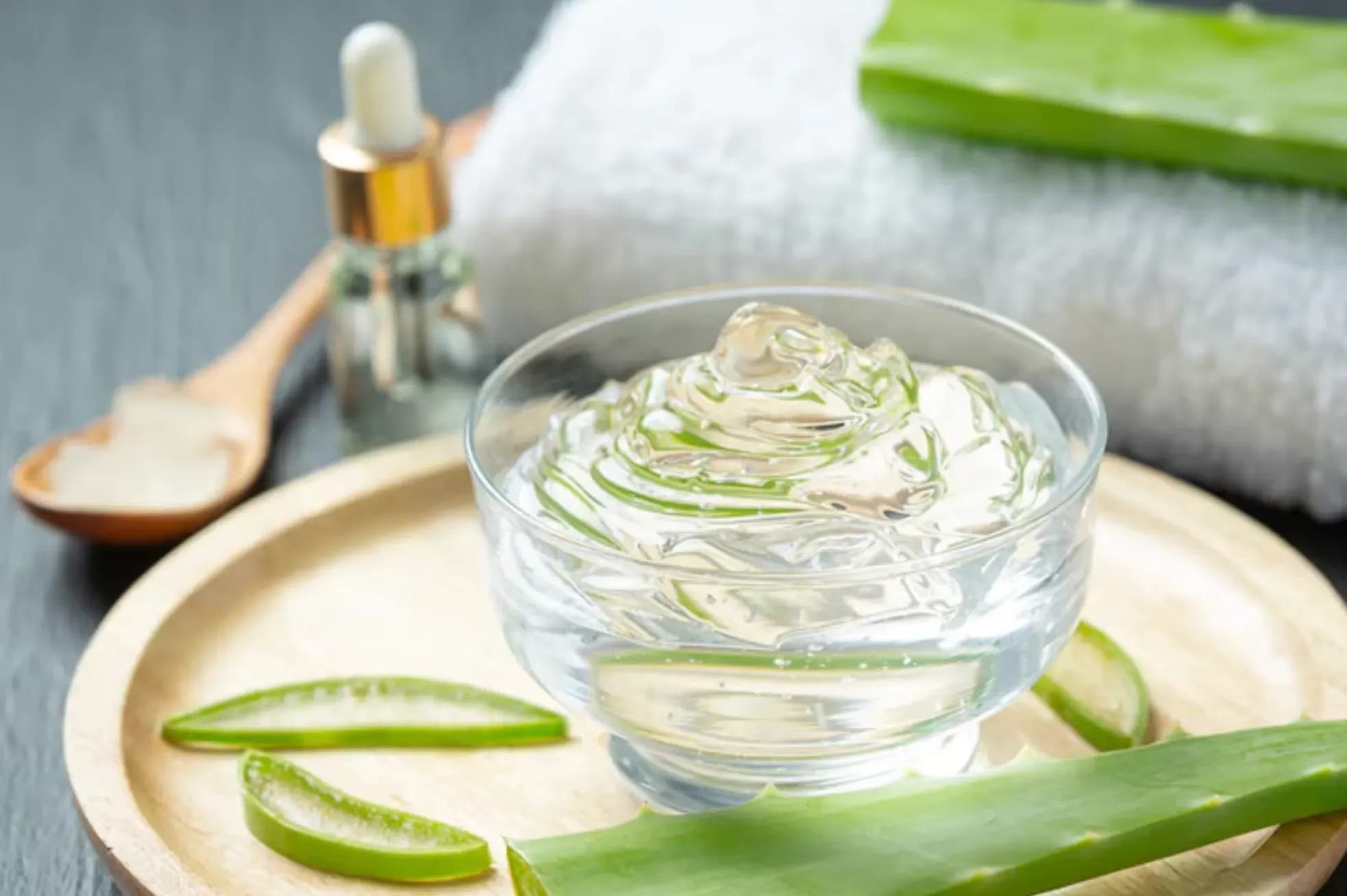 Aloe Vera / Sunburn Treatment