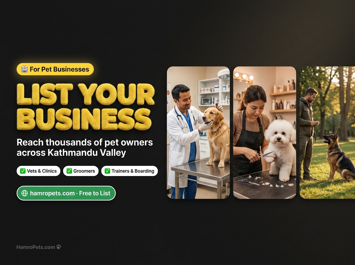 List Your Business on HamroPets