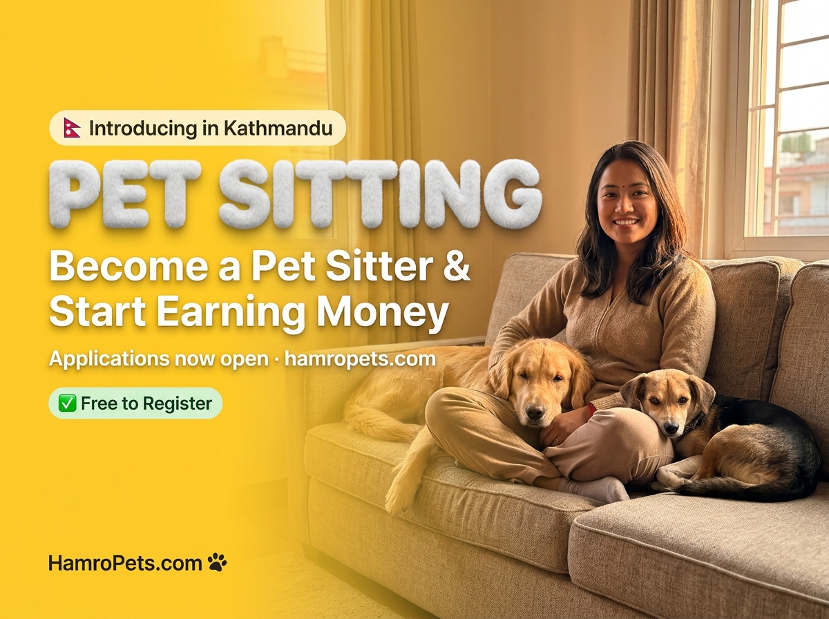 Pet Sitting in Kathmandu
