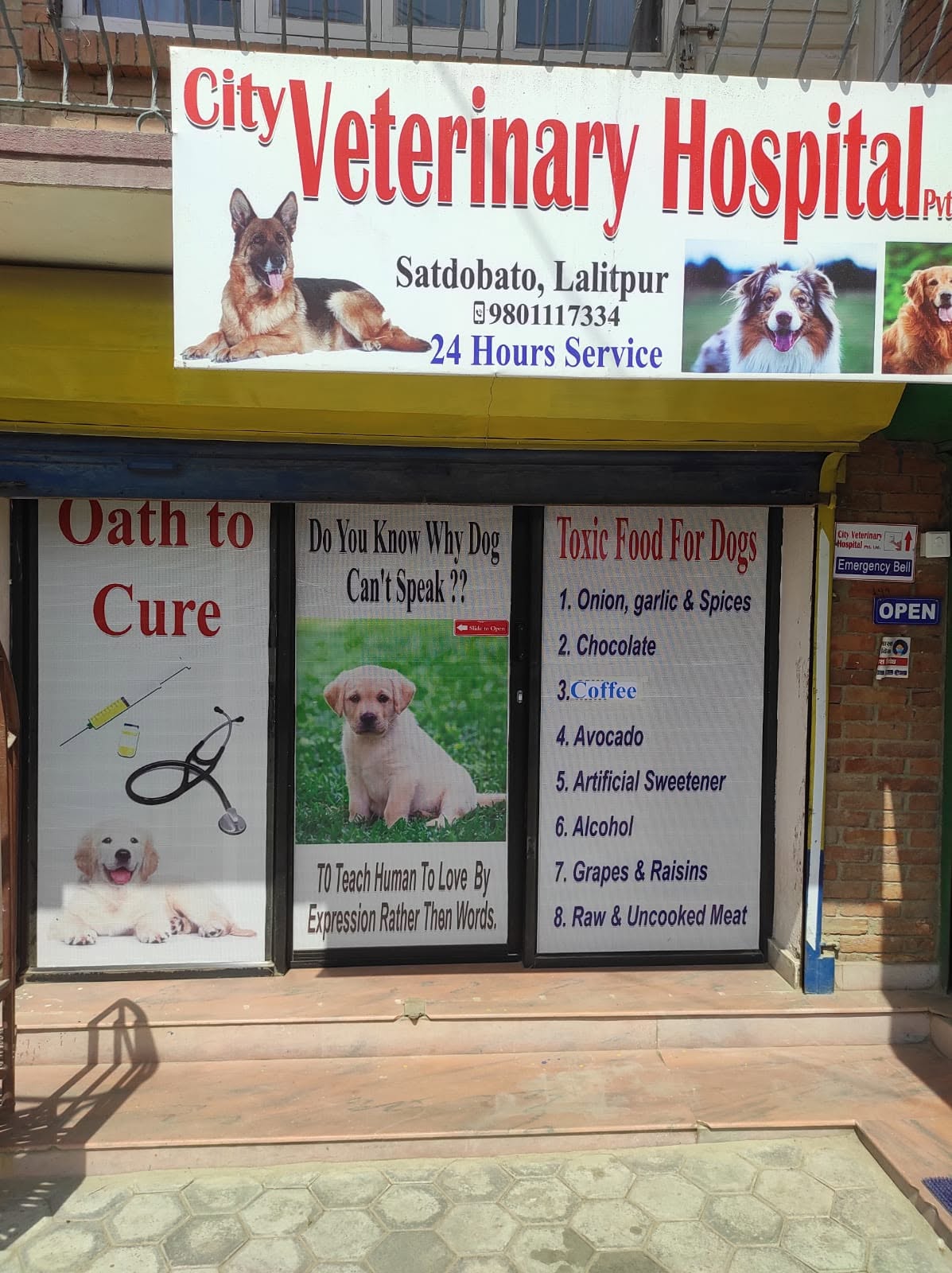 City Veterinary Hospital