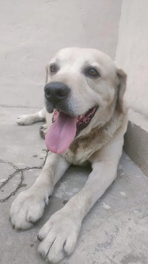 Bruno(motu) 3