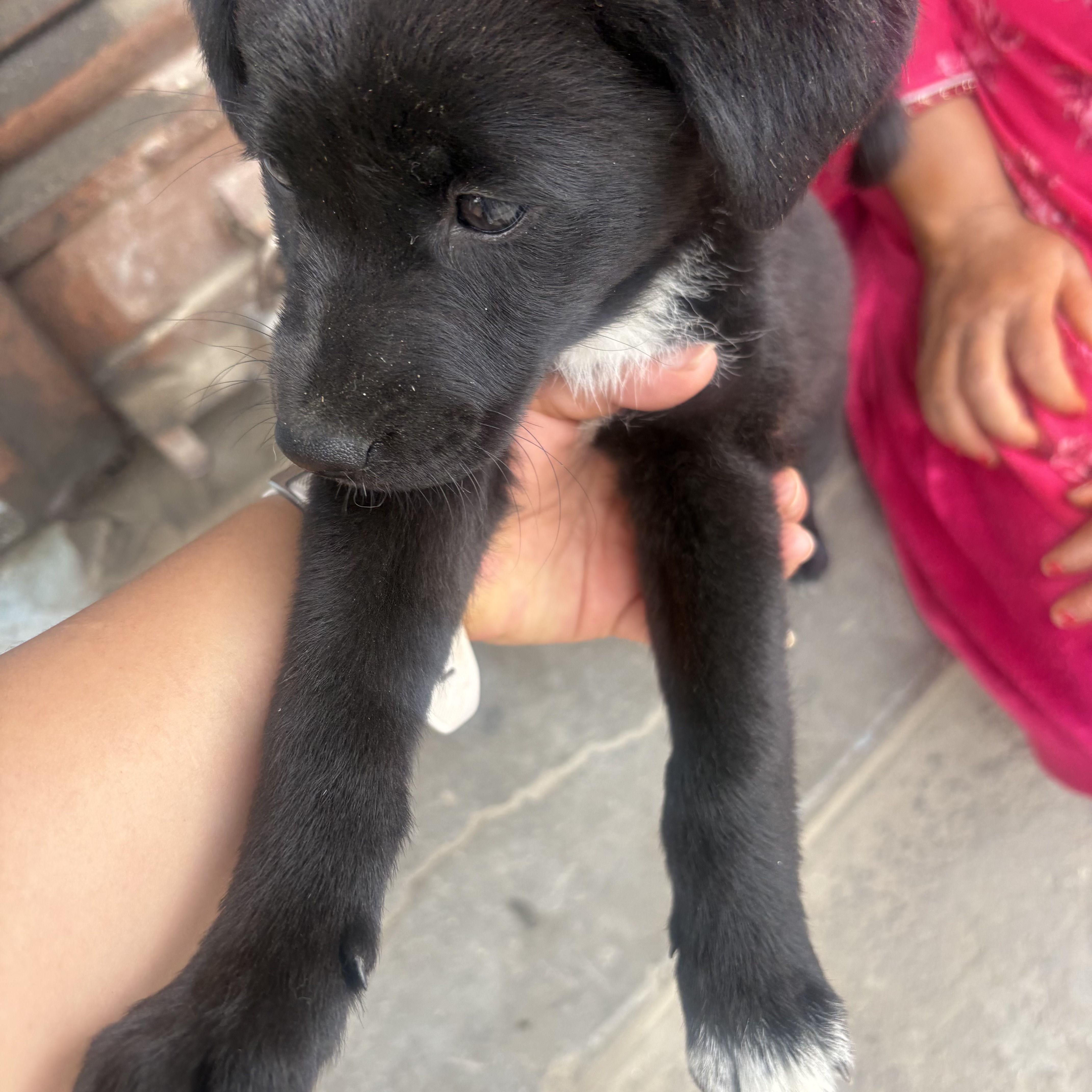 Bhutey 2