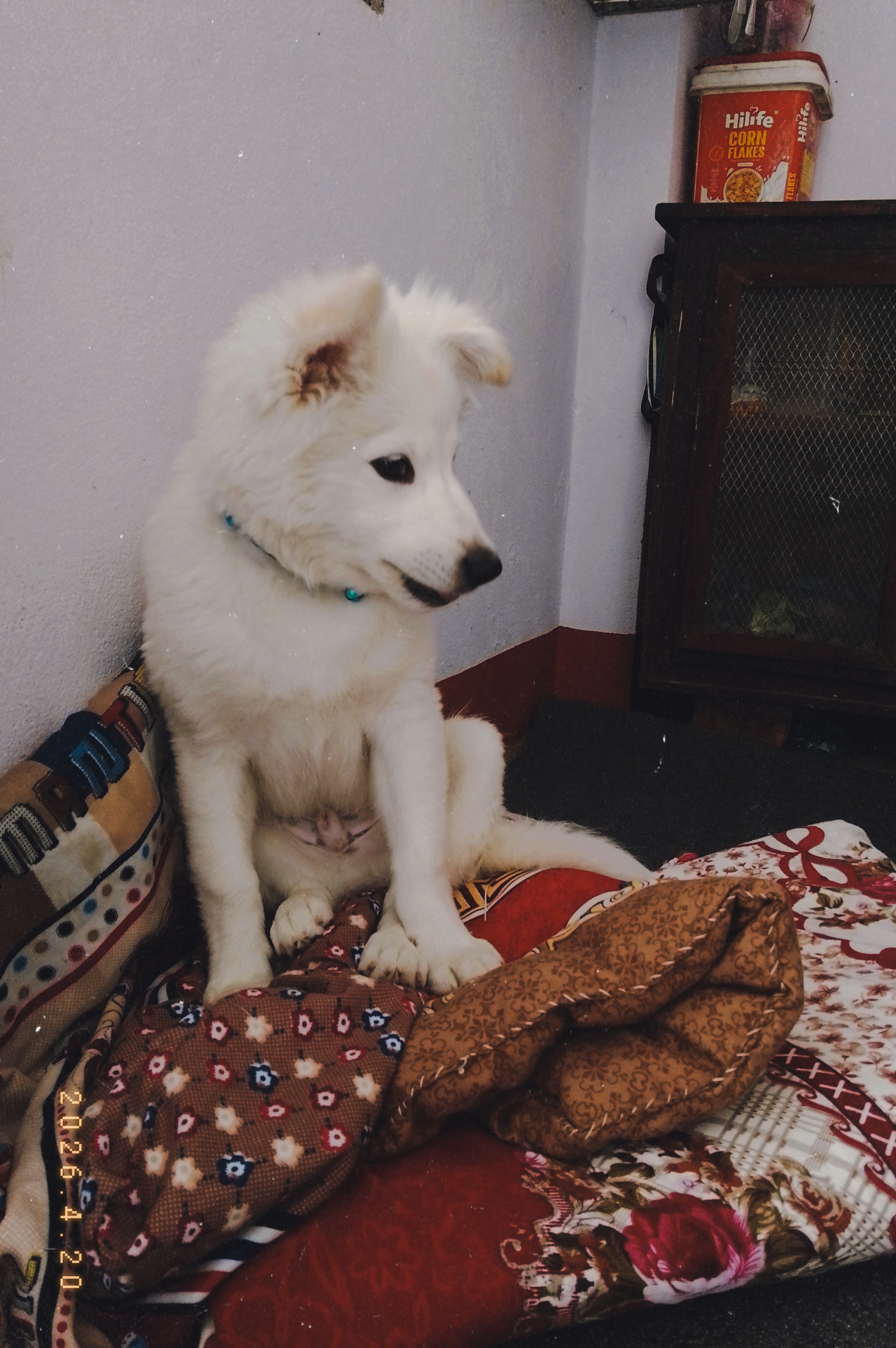 Charlie 