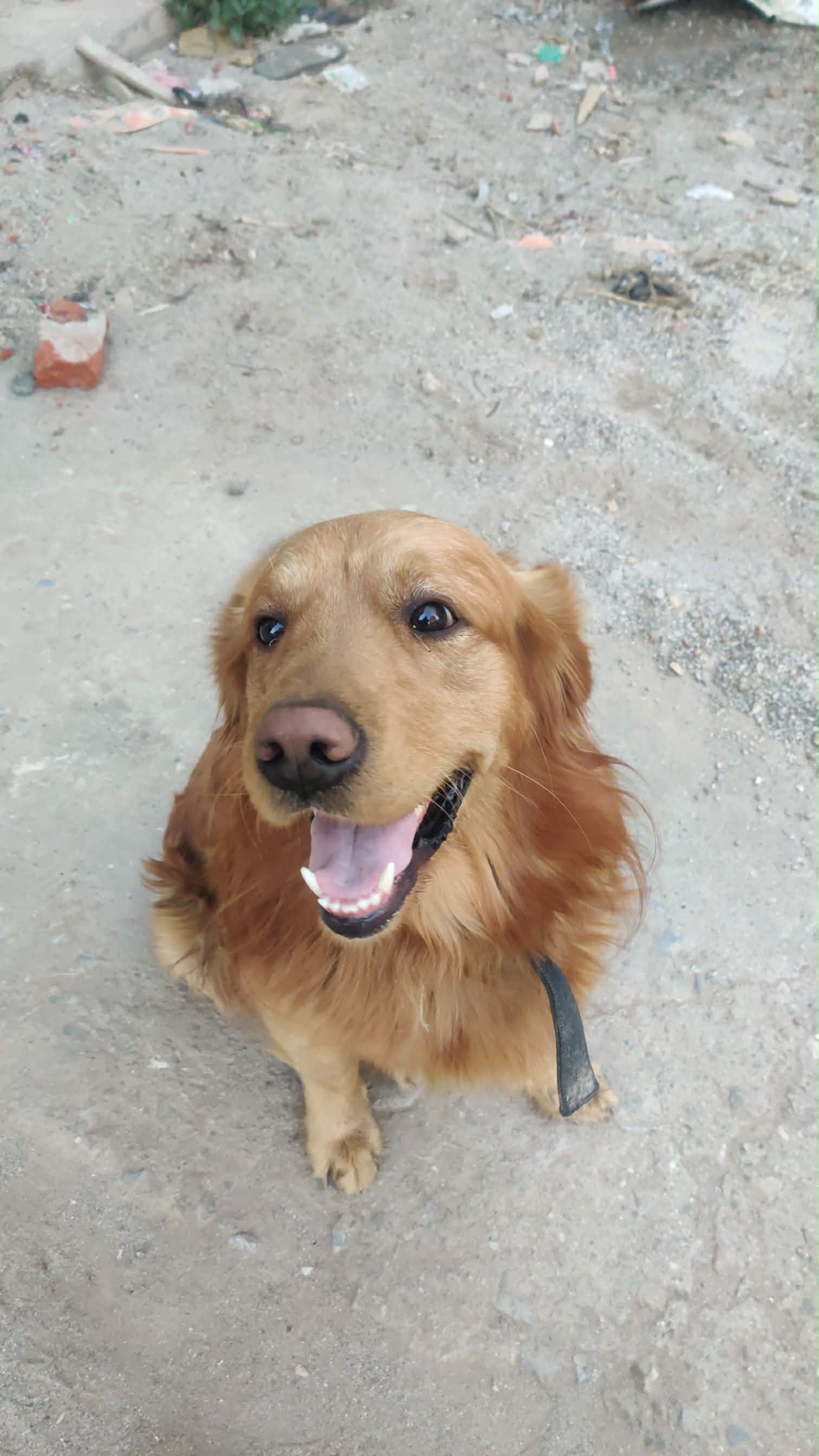 Rambo