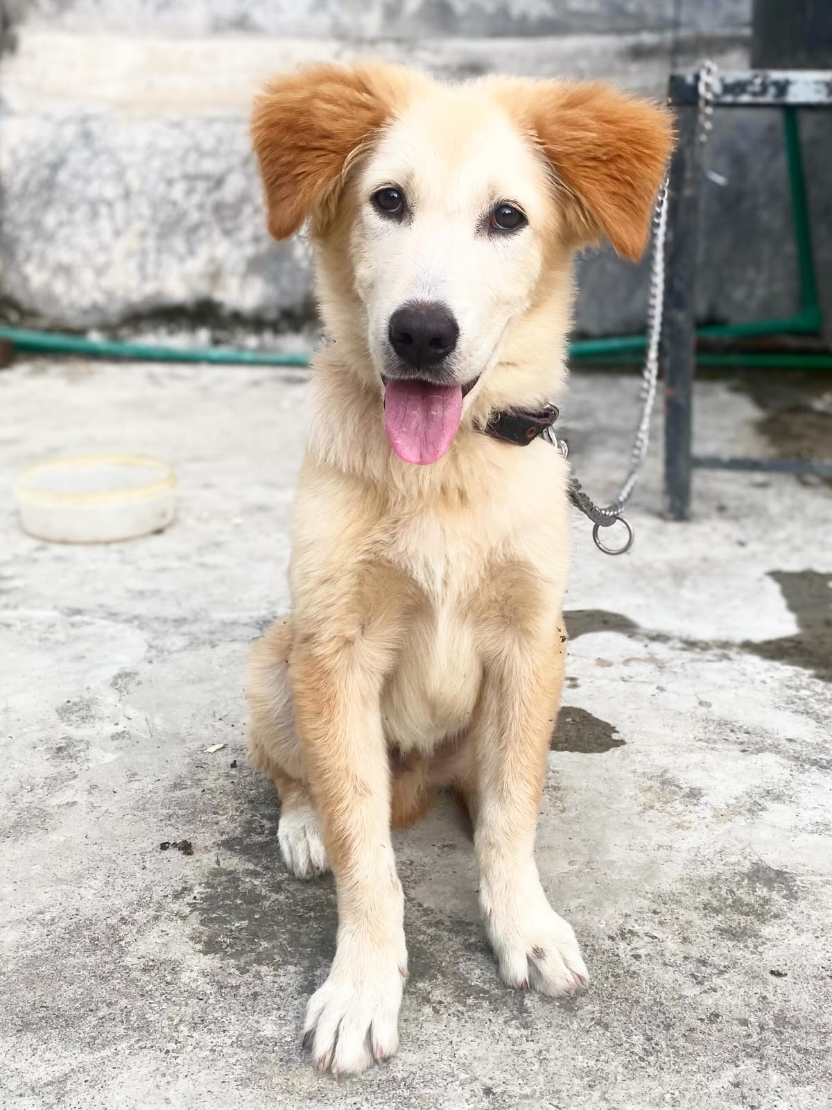 Coco