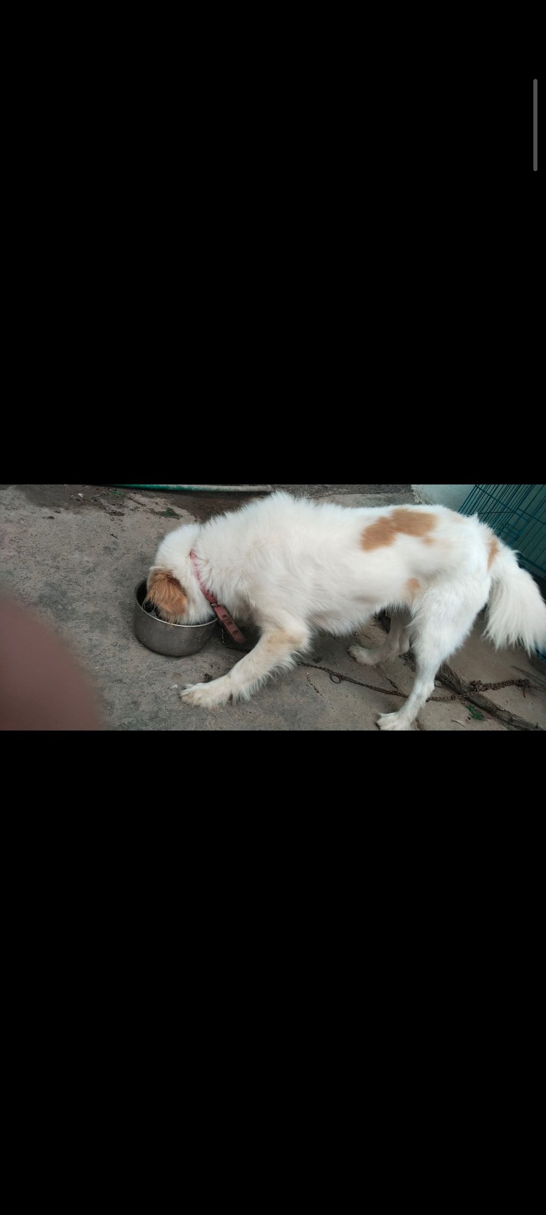 Lucky