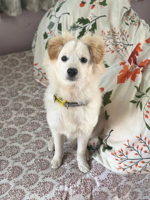 Charlie