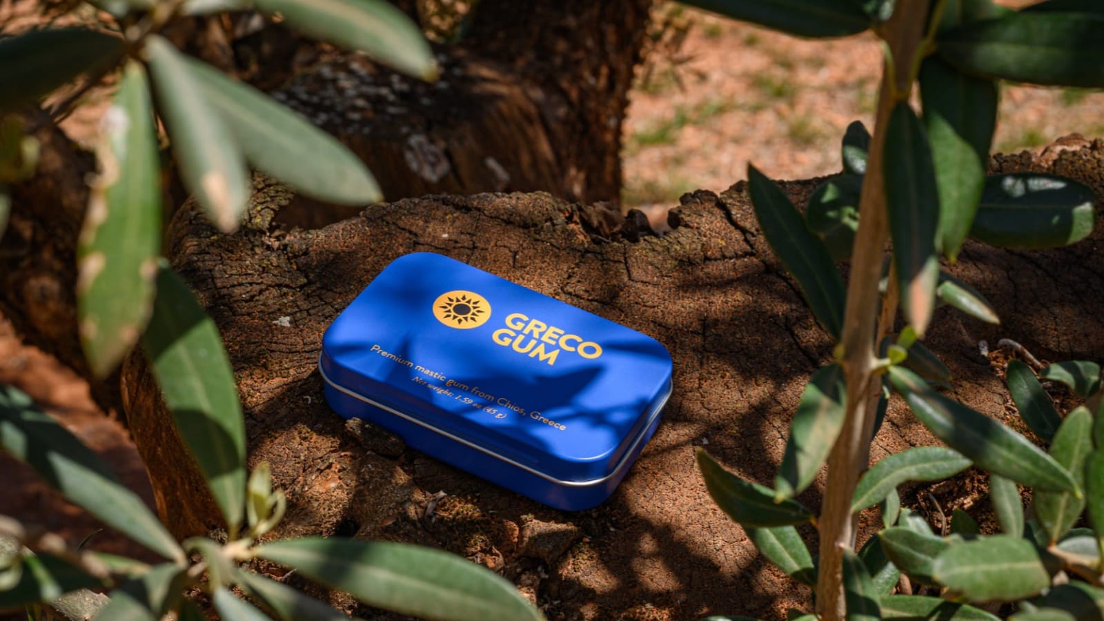 A tin of Greco Gum sits on a log between green foliage