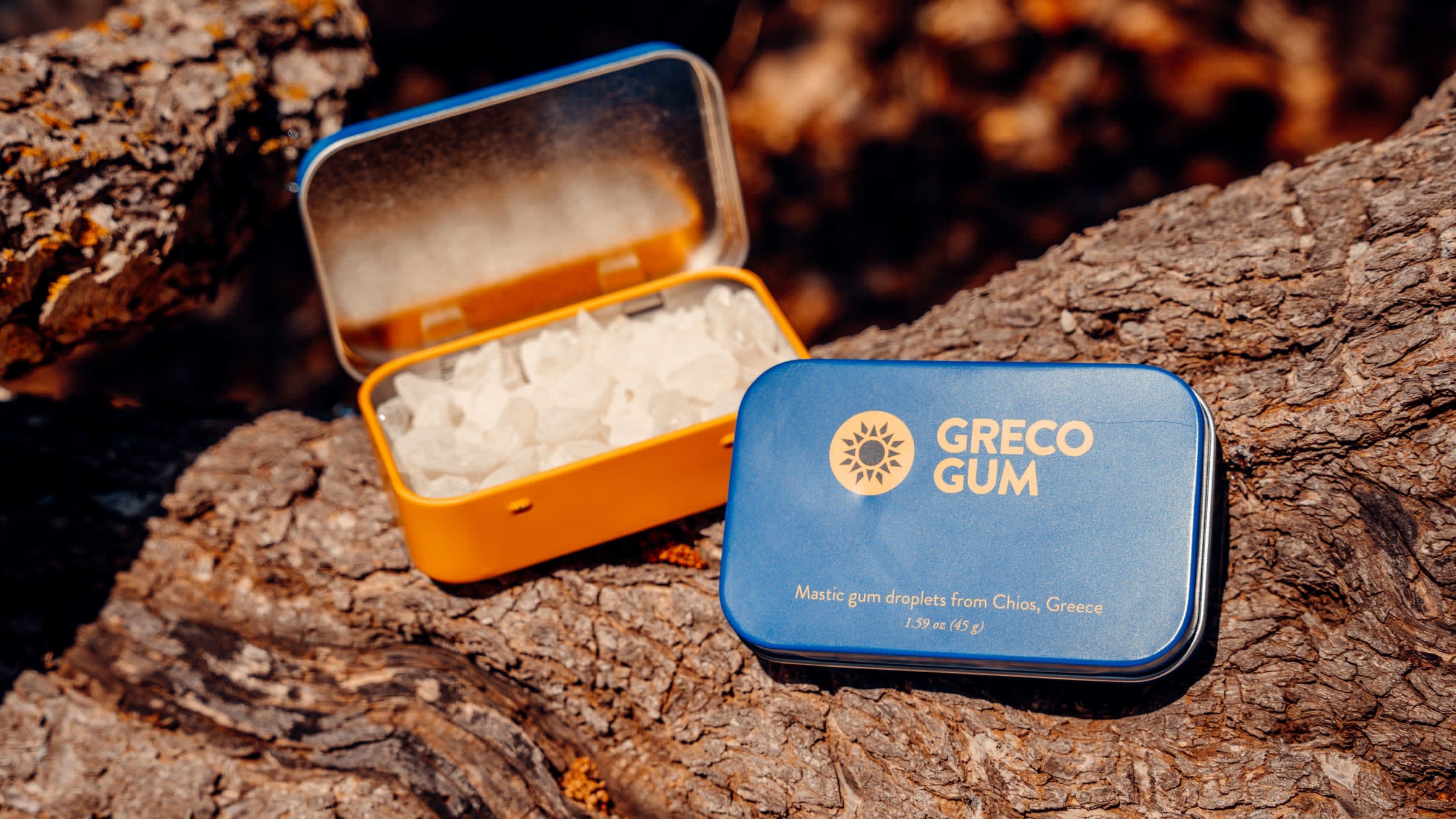 Two tins of Greco Gum, one open and one closed, sit on a tree branch.