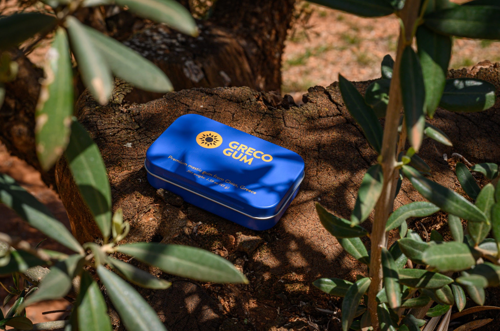 Tin of Greco Gum on the ground with leaves in foreground