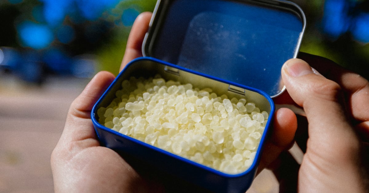 Mastic Corner What is mastic gum?