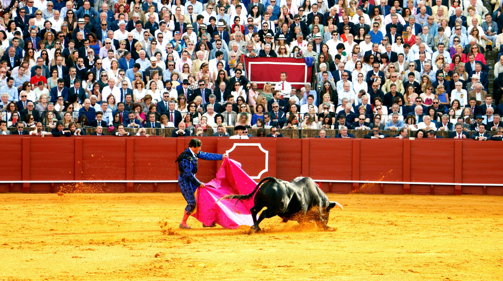 Bullfighter evades bull