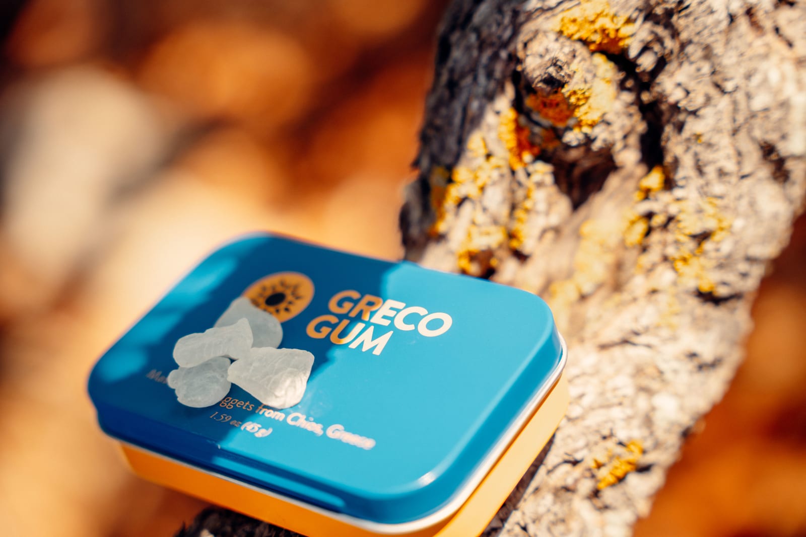 Mastic nuggets on top of Greco Gum tin, resting on a tree.