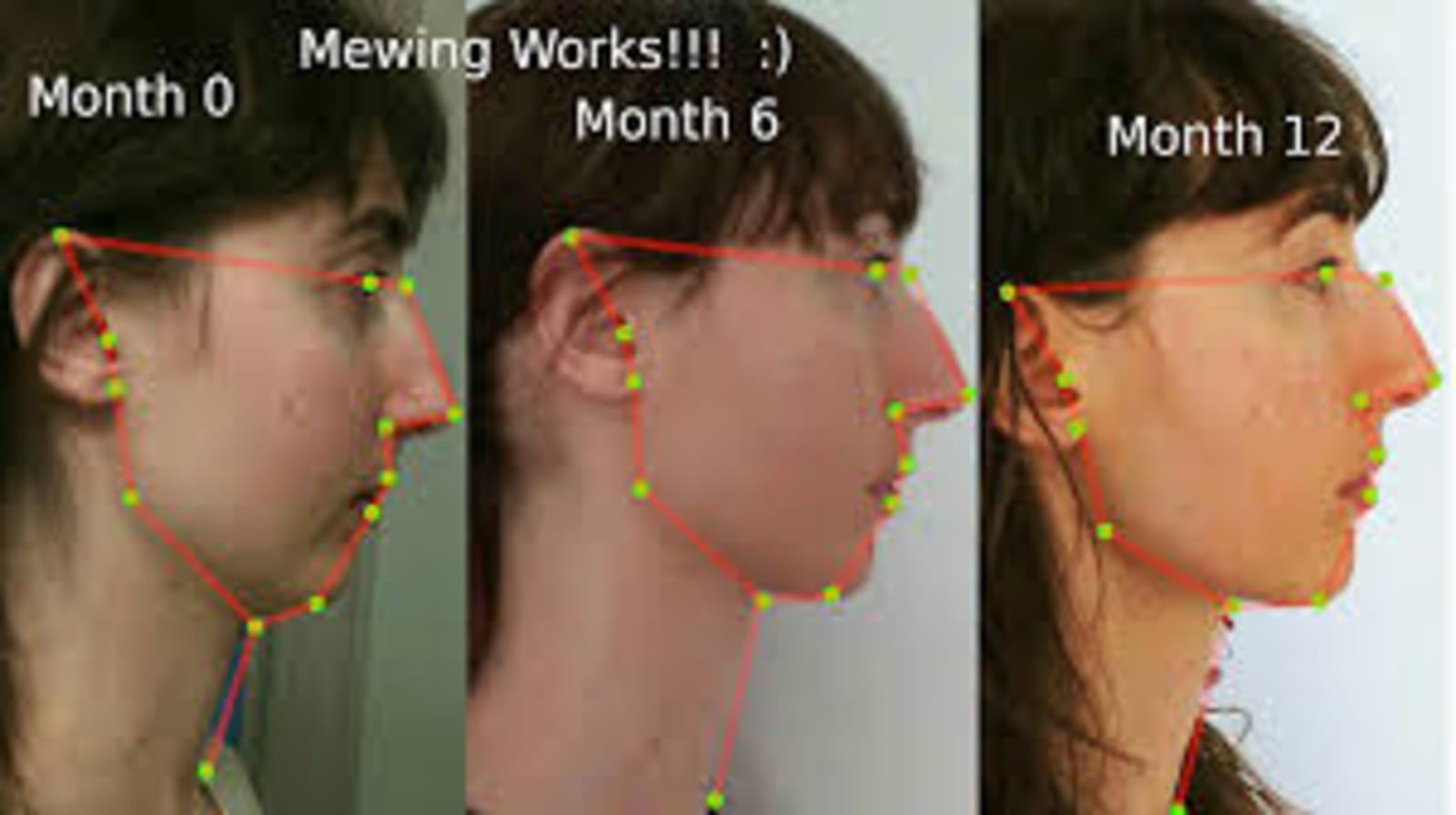 A diagram of proper mewing form