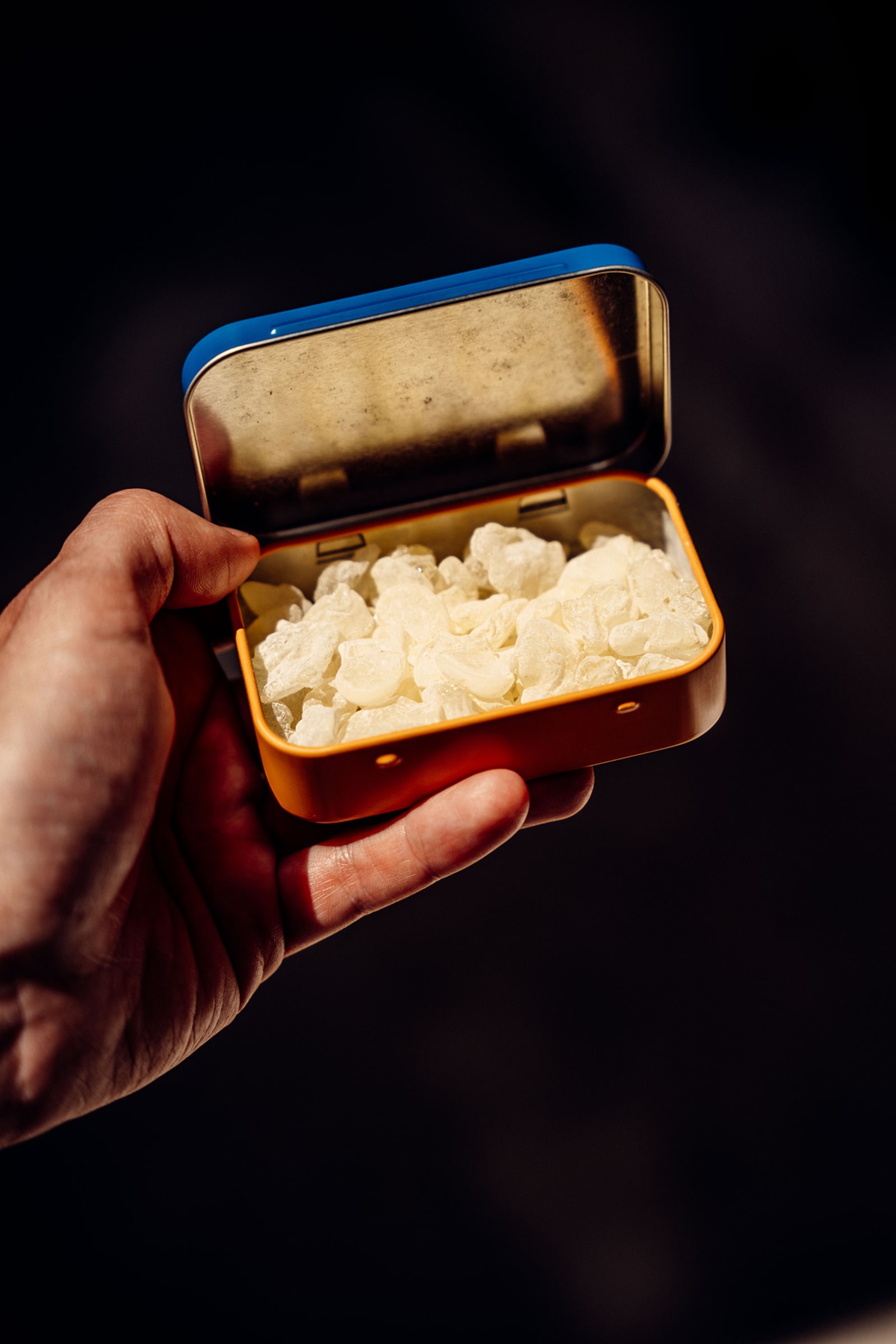 Hand holding tin of mastic gum.
